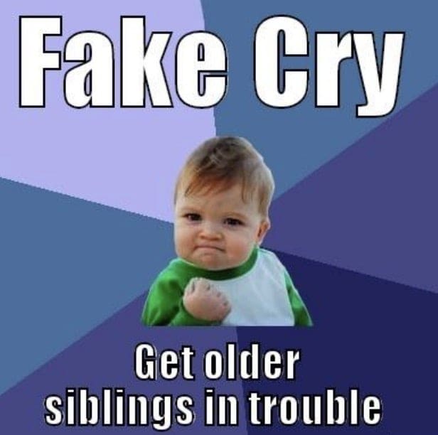 fake cry meme get older siblings in trouble fake cry meme