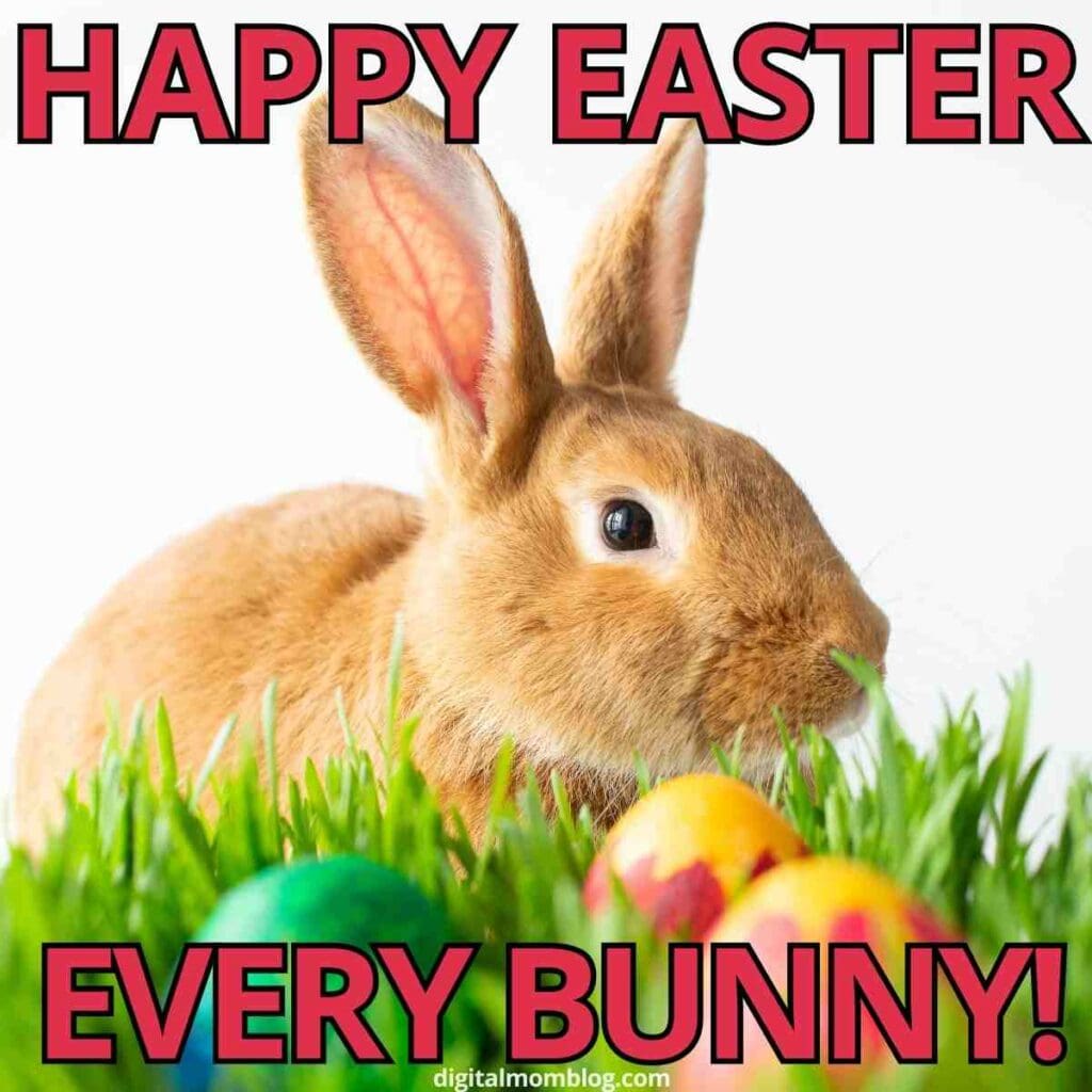 happy easter image A cute bunny peeks through vibrant green grass beside colorful Easter eggs, with the cheerful message "Happy Easter Every Bunny!" in big, playful letters—because everybunny loves a good Easter pun!