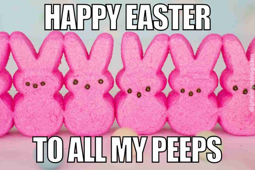 happy easter peeps meme A lineup of pink marshmallow bunnies with the text 'Happy Easter to all my peeps,' a playful nod to Easter humor and sugar rushes.