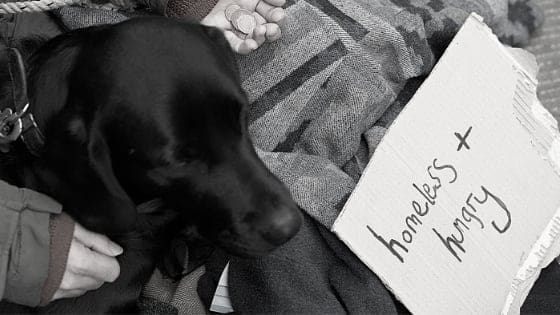homeless homeless