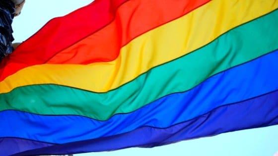 lgtbq lgtbq