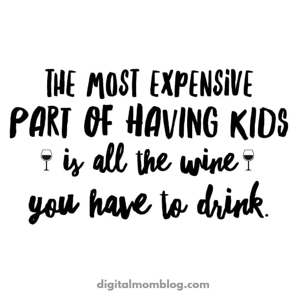 most expensive part of having kids wine meme