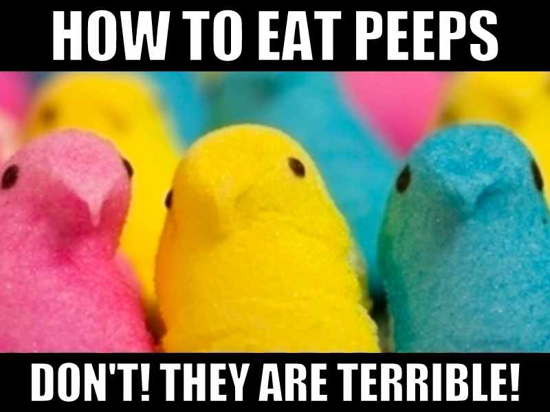 peeps meme peeps meme
