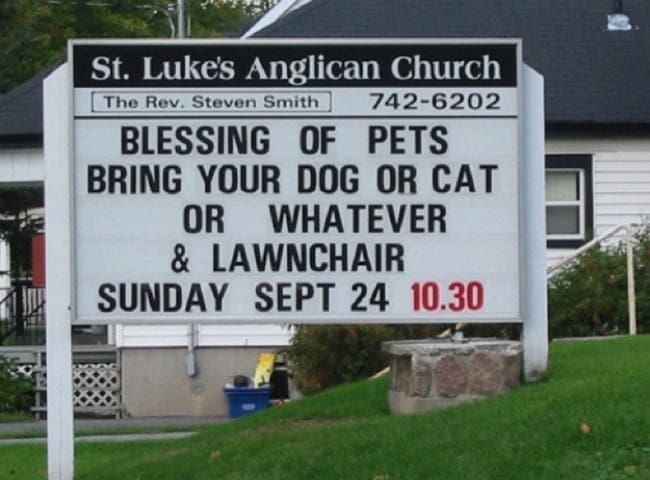 pet blessing petblessing