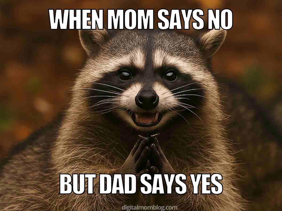 dad meme mom says no Humorous dad meme featuring a mischievous raccoon with text: 'When Mom says no and Dad says yes.' Classic parenting negotiation strategy caught in the wild.