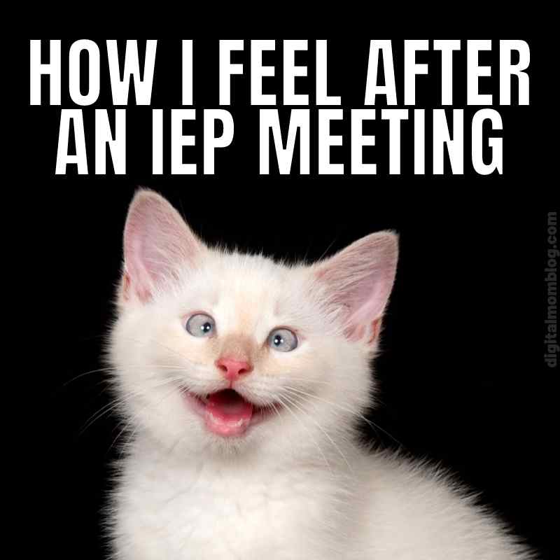 iep meeting meme Meme featuring a wide-eyed, grinning kitten with the text 'How I Feel After an IEP Meeting,' humorously conveying confusion and overwhelm after a long meeting.