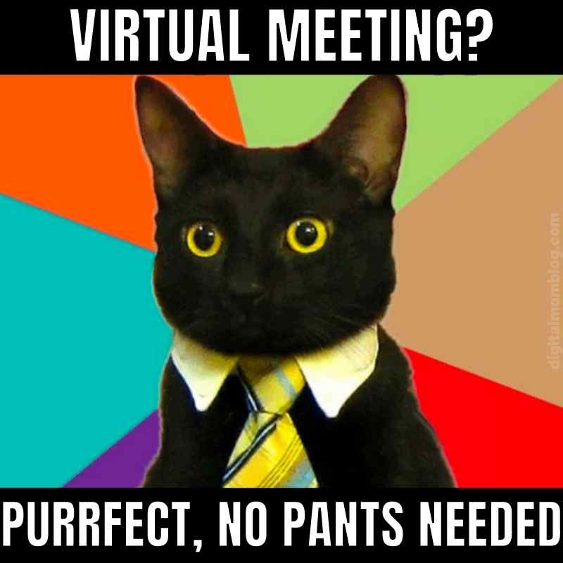 virtual meeting meme Humorous meeting meme featuring a black cat in a business suit with the caption 'Virtual meeting? Purrfect, no pants needed,' highlighting the laid-back perks of online meetings.