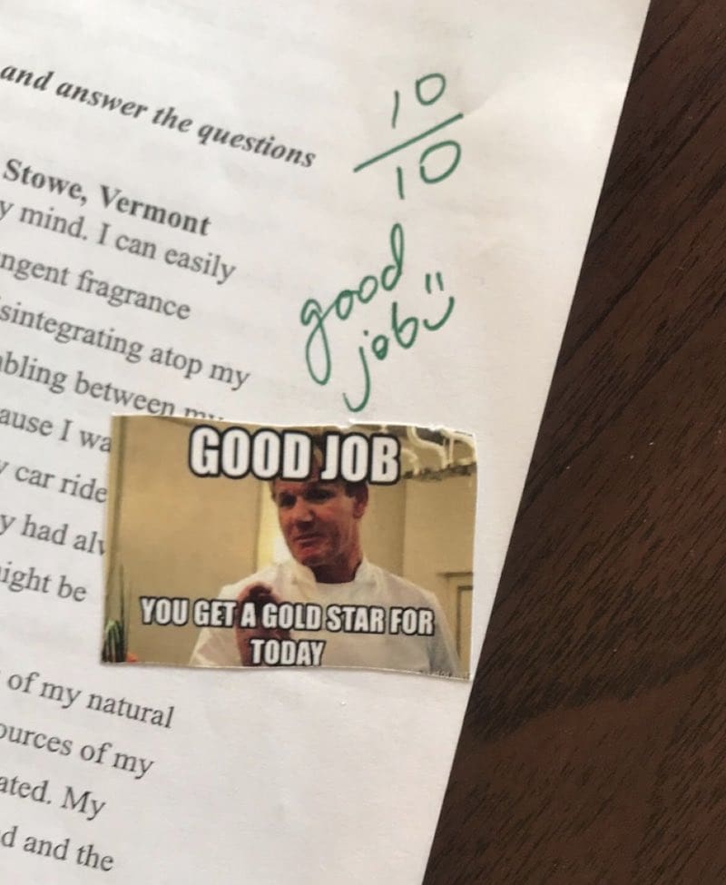 teacher grading meme Meme on a graded paper showing a celebrity chef with text saying 'Good Job, You Get a Gold Star for Today,' humorously celebrating a 10/10 score with teacher's handwritten note 'good job.'