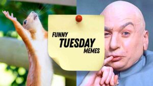 A split image featuring a squirrel with raised arms on the left and a person with a finger on their lip on the right, with a note in the middle that reads "Funny Tuesday Memes."