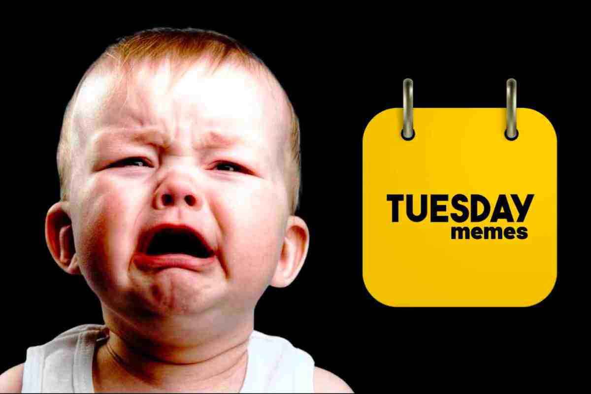 funny tuesday memes Meme featuring a crying baby next to a yellow sign that reads 'Tuesday memes,' capturing the universally understood Tuesday blues with humor.