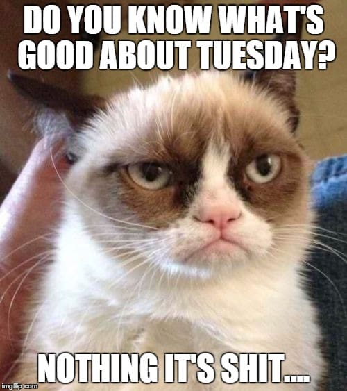 good about tuesday good about tuesday
