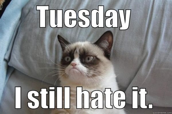 grumpy tuesday meme Meme of a grumpylooking cat with the caption 'Tuesday, I still hate it,' humorously expressing disdain for Tuesdays.