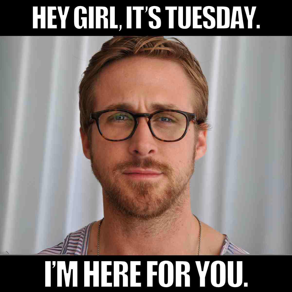 hey girl its tuesday meme A meme with a man wearing glasses, captioned 'Hey girl, it's Tuesday. I'm here for you.', bringing some midweek charm and support.