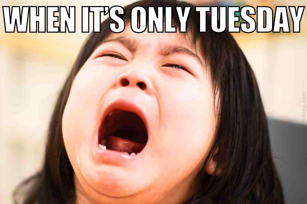 its tuesday meme Meme of a crying child with the caption "When it's only Tuesday." Perfectly captures the Tuesday blues.