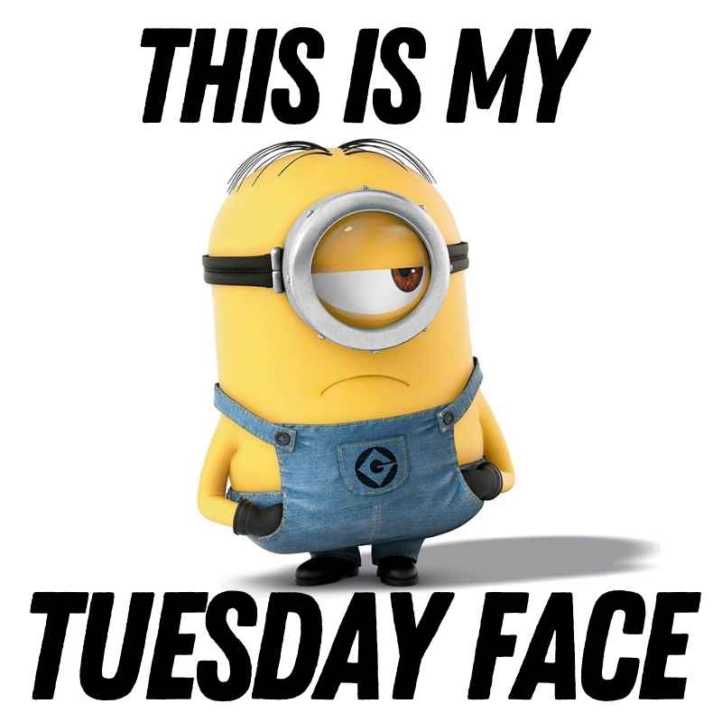minion tuesday meme Grumpy Minion with the text 'This Is My Tuesday Face' captures the universal Tuesday blues in this funny meme.