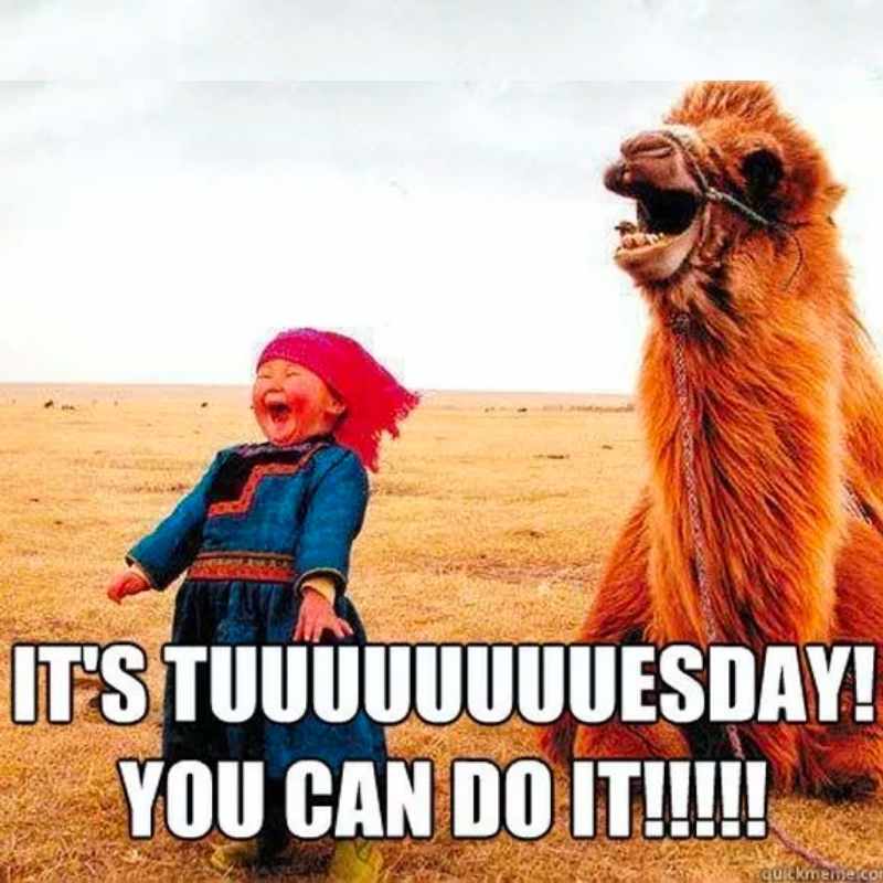 motivation tuesday image motivation tuesday image