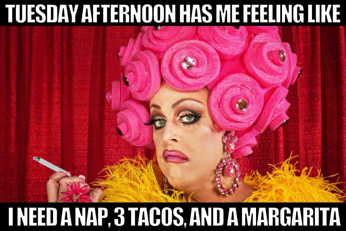 tuesday afternoon meme A meme showing a person with a fabulous pink wig and exaggerated makeup holding a cigarette, with text humorously declaring Tuesday afternoon calls for a nap, three tacos, and a margarita.