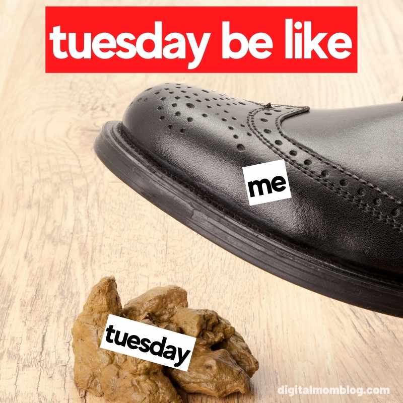 tuesday be like meme Funny Tuesday meme showing a polished dress shoe labeled 'me' stepping on a pile labeled 'Tuesday', with the heading 'Tuesday be like'.