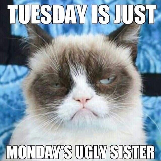 tuesday is mondays ugly sister tuesday is mondays ugly sister