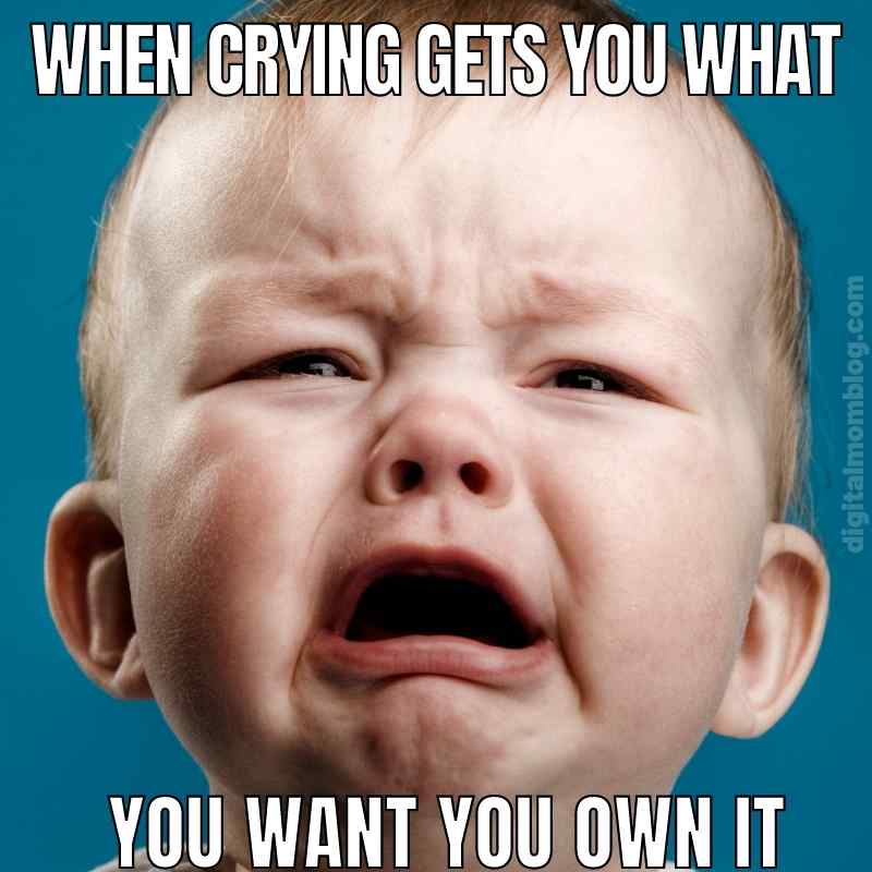 cry baby meme funny A baby crying with the text: 'When crying gets you what you want, you own it.' Perfect for those Thursday memes when you're feeling like a champion toddler who just got their way.