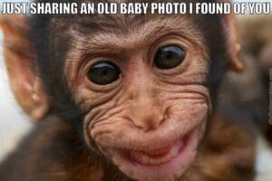 A closeup of a baby monkey grinning cheekily, captioned with 'Just sharing an old baby photo I found of you,' perfect for sibling mockery. It's that classic moment when siblings dig up embarrassing pics to remind you of your 'adorable' past.