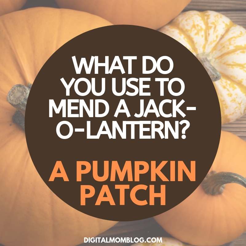 jack o lantern pumpkin jokes jack o lantern pumpkin jokes