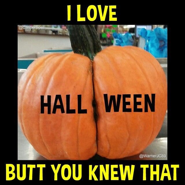 pumpkin butt pumpkin butt