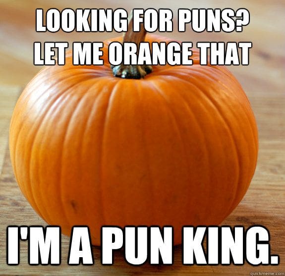 pumpkin pun pumpkin pun