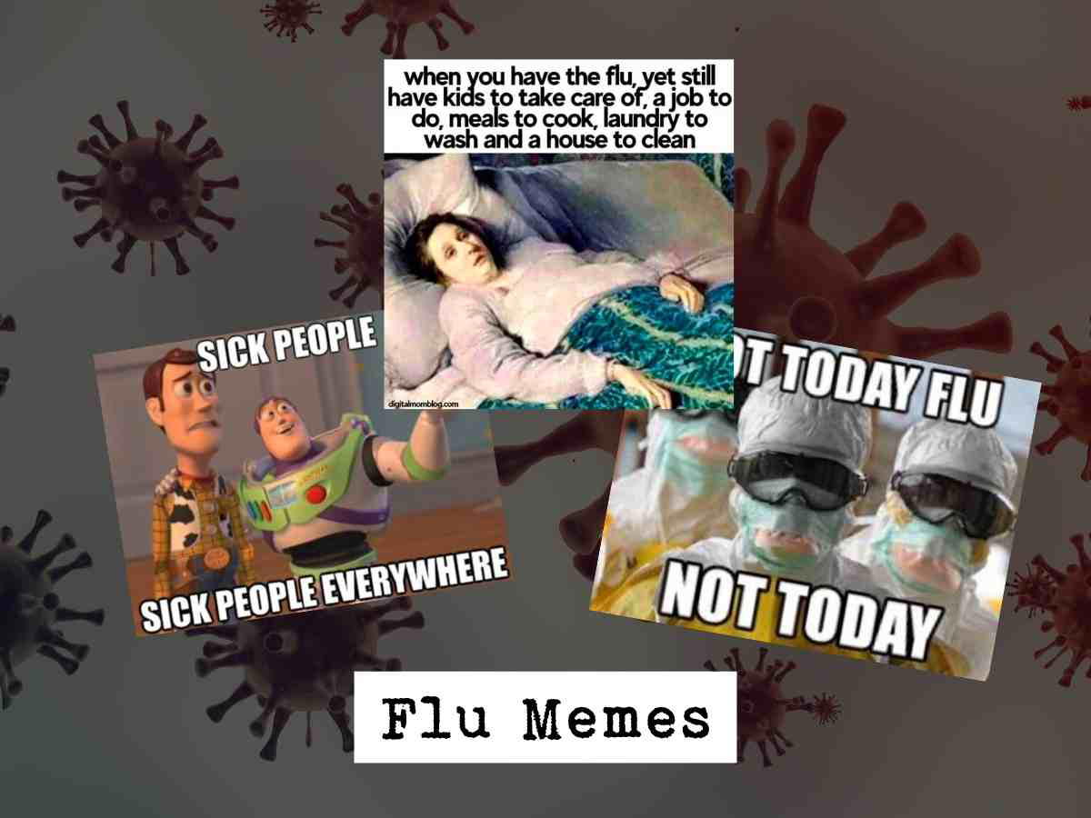 flu memes Collage of three fluthemed memes: one shows a person in bed under a blanket, captioned 'when you have the flu, yet still have kids to take care of, a job to do, meals to cook, laundry to wash and a house to clean'; another features cartoon characters with the text 'Sick people sick people everywhere'; and the last meme has two people in protective suits with 'Not today flu, not today.' Background features virus images, titled 'Flu Memes.'