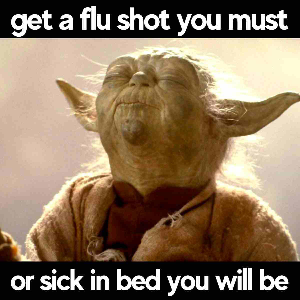 flu shot meme Meme of a wise green character with big ears advising, "Get a flu shot you must, or sick in bed you will be."