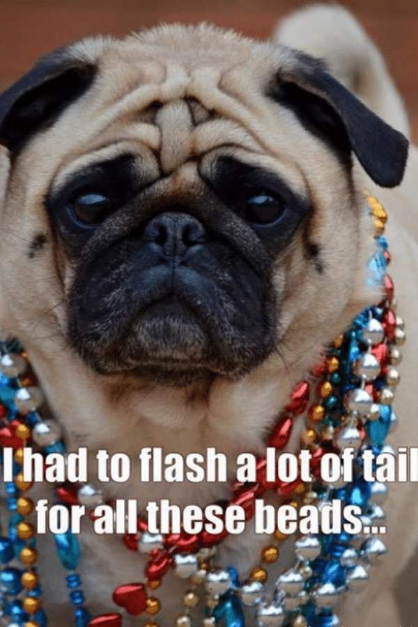 flash for beads meme flash for beads meme