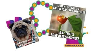 A humorous Tuesday meme featuring a pug draped in colorful beads and Kermit the Frog sipping tea, with captions implying it's a 'Fat Tuesday' for some, mixing humor with a nod to Mardi Gras traditions.