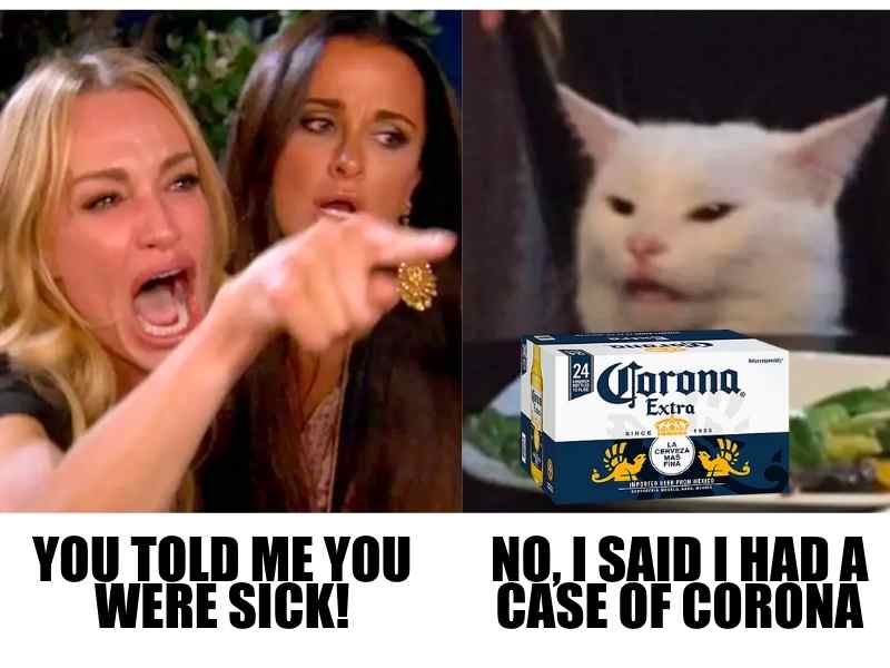 corona meme Meme featuring a woman yelling, 'YOU TOLD ME YOU WERE SICK!' at a smug cat sitting next to a box of Corona beer, with the cat responding, 'NO, I SAID I HAD A CASE OF CORONA.'