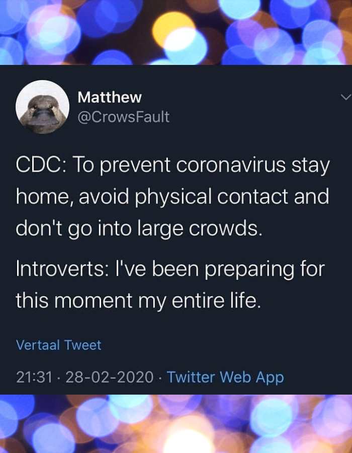 coronavirus introvert meme Meme titled 'Introvert Paradise,' showing a tweet where the CDC advises avoiding crowds due to coronavirus; introverts humorously rejoice, saying they've been preparing for this their whole life.