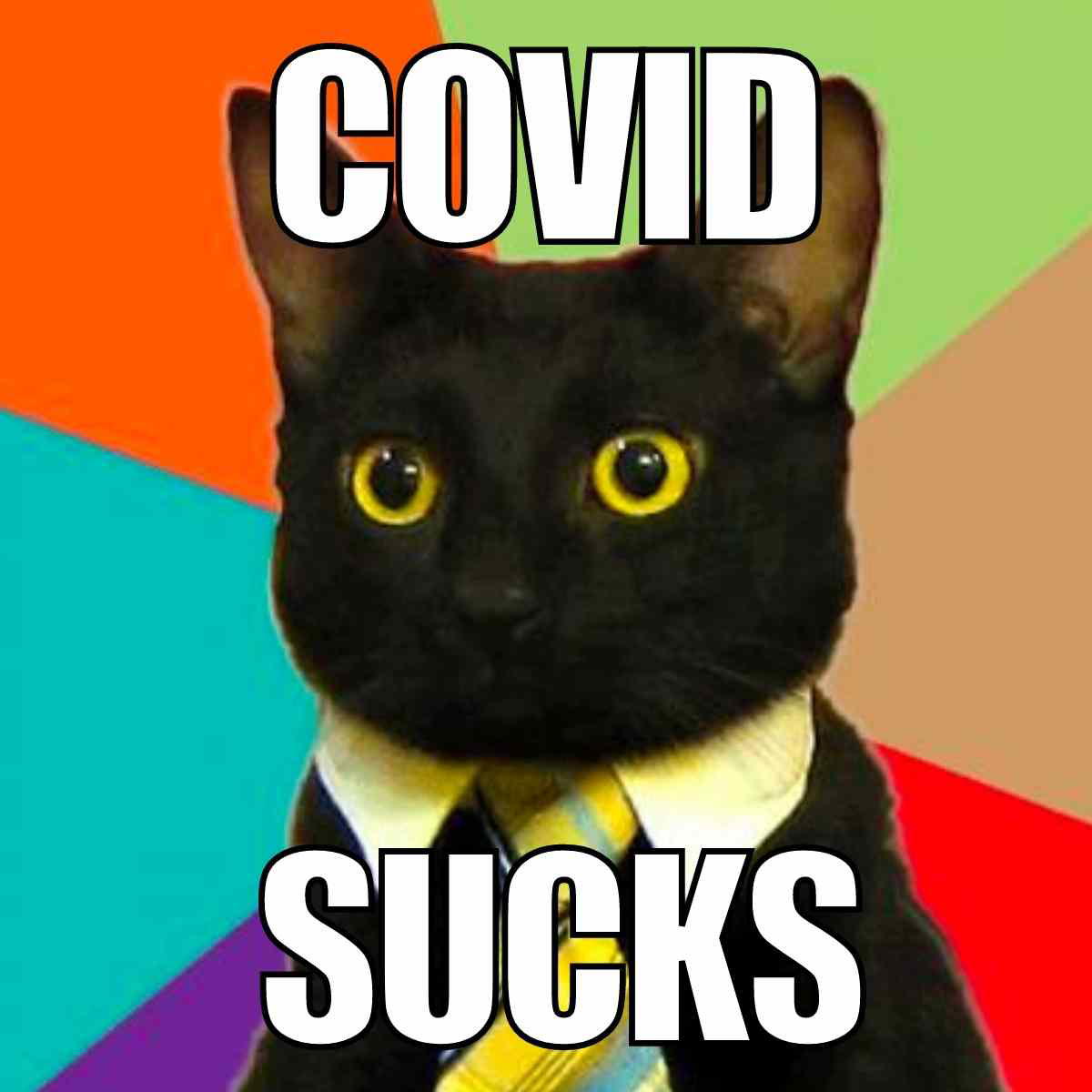 covid sucks meme covid sucks meme