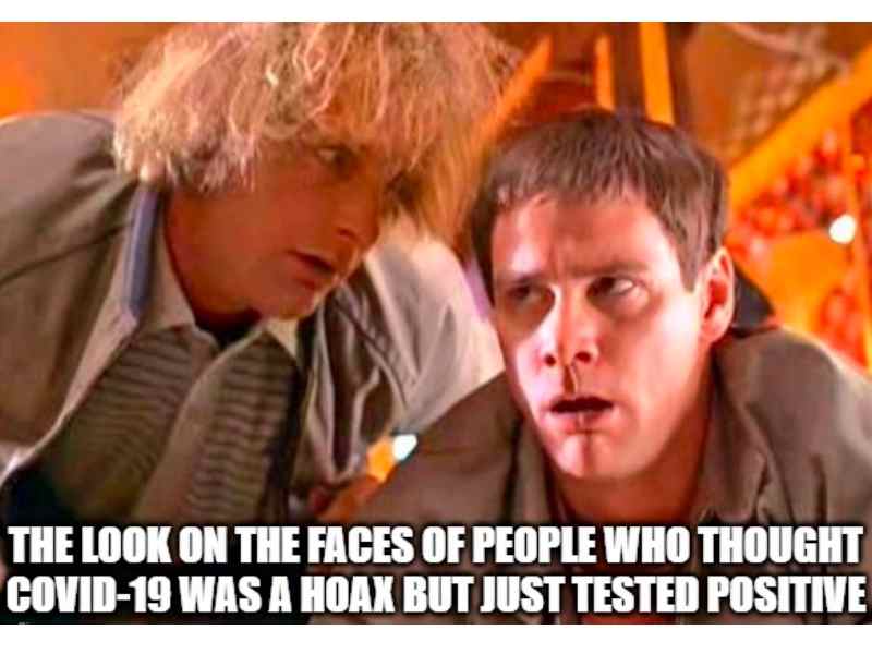 dumb and dumber covid meme dumb and dumber covid meme