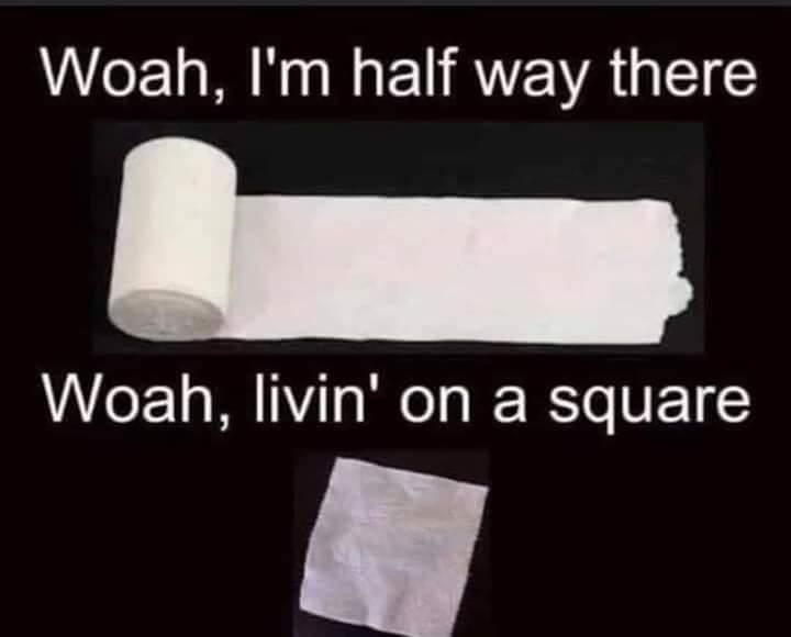 living on a square toilet paper meme living on a square toilet paper meme