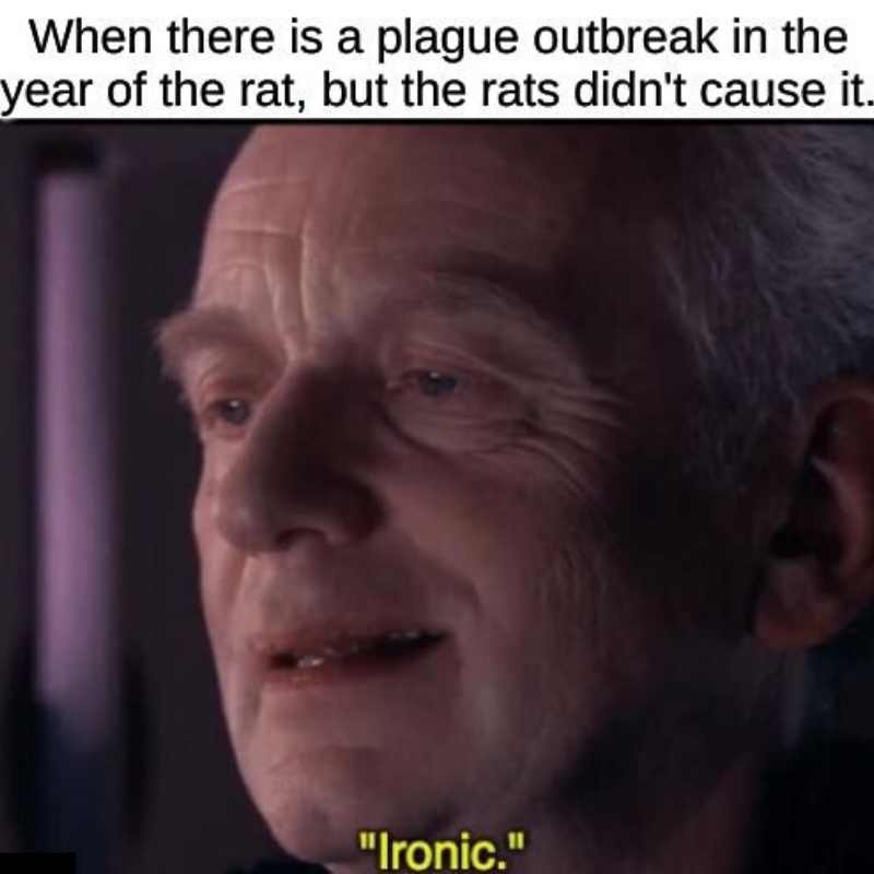 plague 2020 meme plague 2020 meme