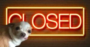 school closure memes