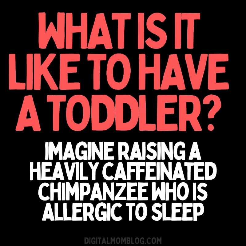 funny toddler meme 2 Meme text humorously explains parenting a toddler as like raising a hyperactive chimpanzee that hates sleep, highlighting toddler chaos.