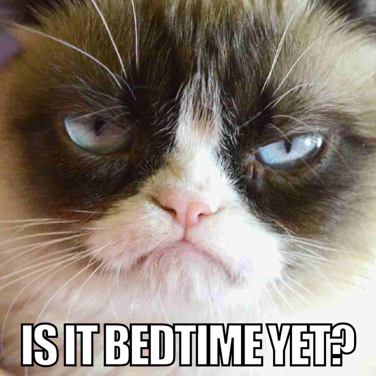 is it bedtime yet meme is it bedtime yet?