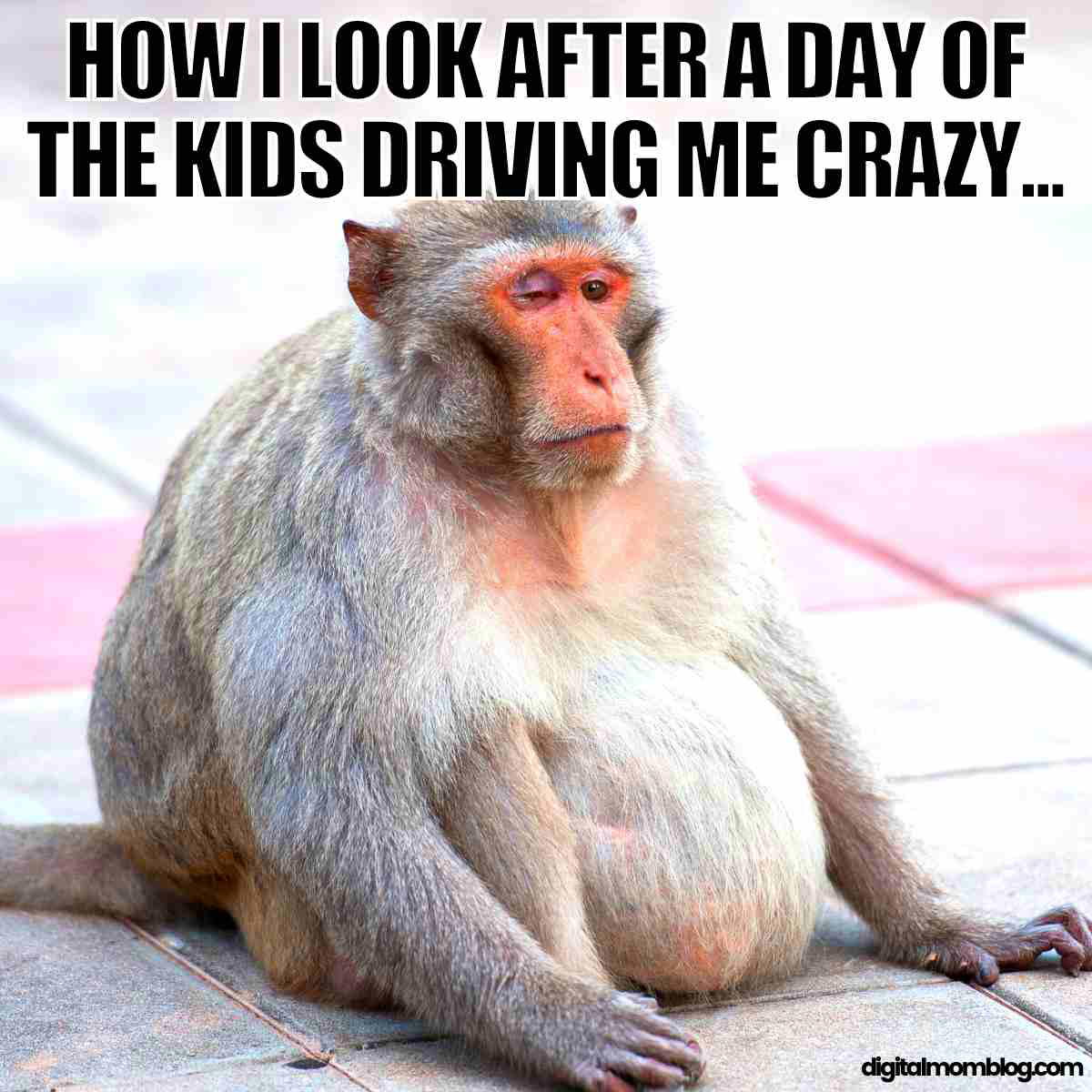 kids driving me crazy meme how i look after a day of the kids driving me crazy