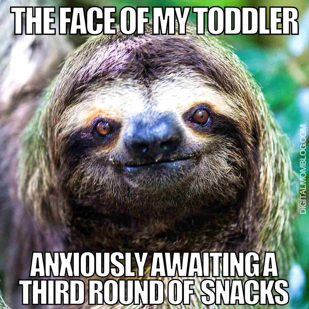 snacks meme the face of my toddler anxiously awaiting a third round of snacks