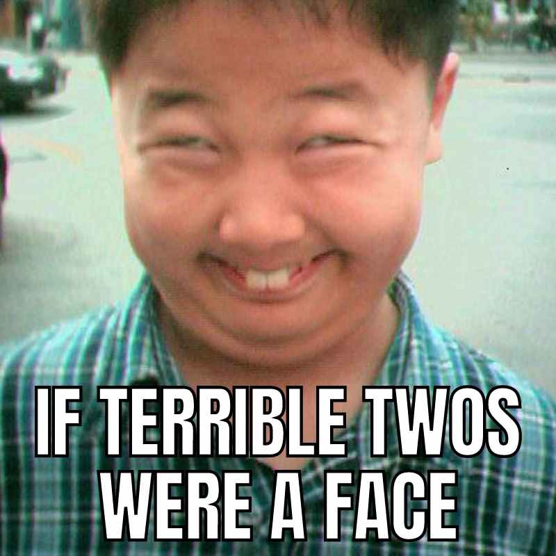 terrible twos meme terrible twos meme
