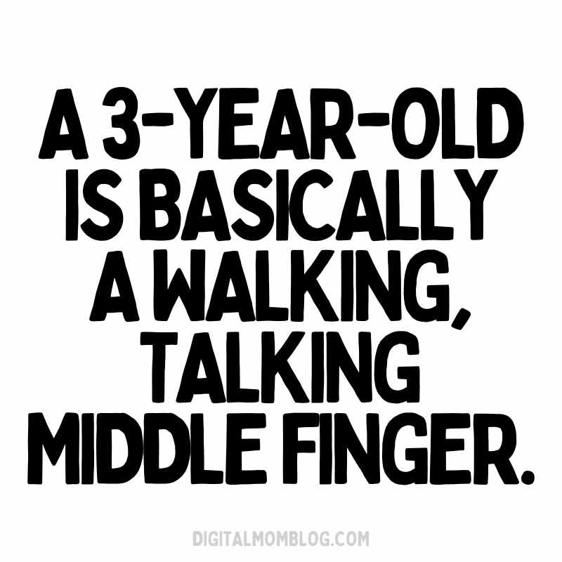 threenager meme middle finger Humorous meme text stating that a 3yearold is essentially a walking, talking middle finger, capturing the chaos and sass of toddlerhood.