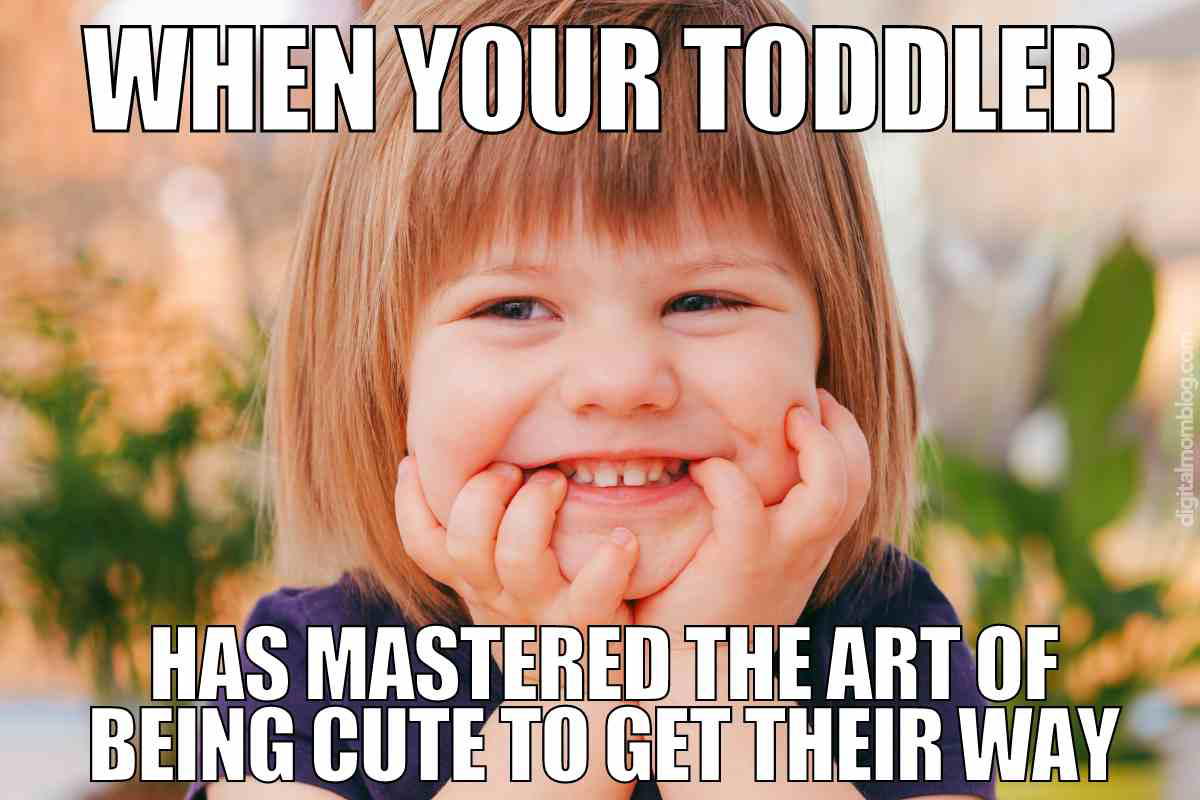 toddler meme funny Adorable toddler meme with a mischievous smile, captioned "When your toddler has mastered the art of being cute to get their way."
