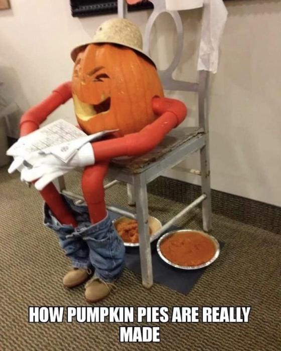 how pumpkin pies are made meme how pumpkin pies are made meme