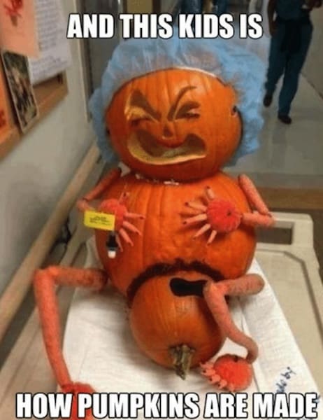 how pumpkins are made meme how pumpkins are made meme