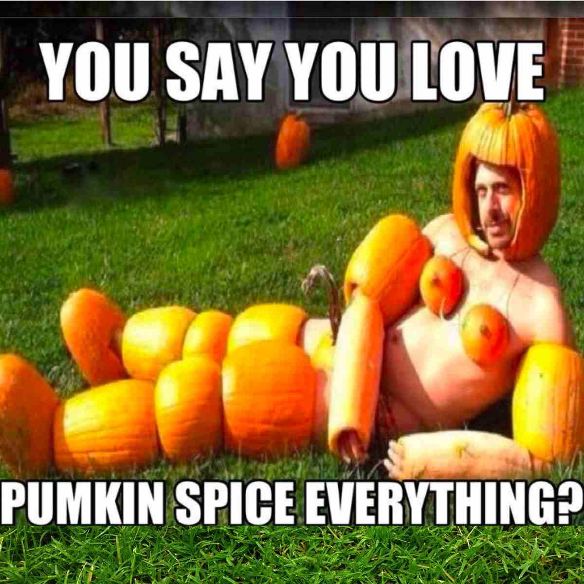 pumkin meme you say you love pumkin spice everything - pumpkin meme