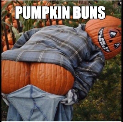 pumpkin buns meme pumpkin buns meme